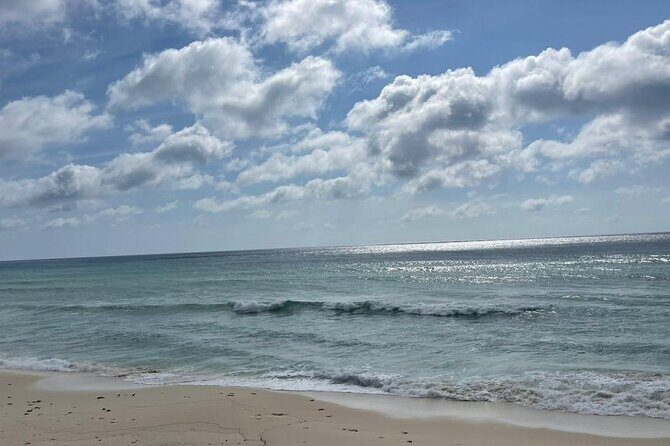 Jeep or Buggy Private VIP All inclusive - Jeep or Buggy VIP in Cozumel: The Smart 4–5 Hour Plan