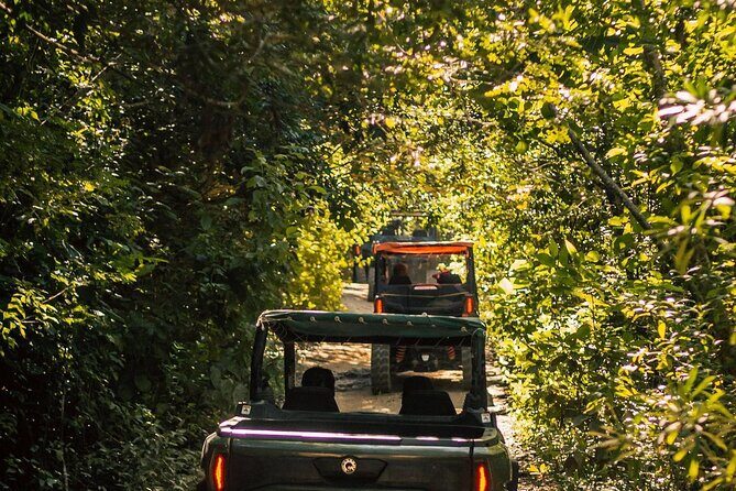 Jungle Buggy Day Tour - Group size and the vibe: small means more attention