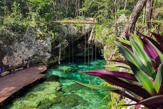 Kaan Luum and Cenotes and Mayan Traditions from Riviera Maya - The Mayan traditions part: cocoa bean, melipona honey, and a Shaman ceremony