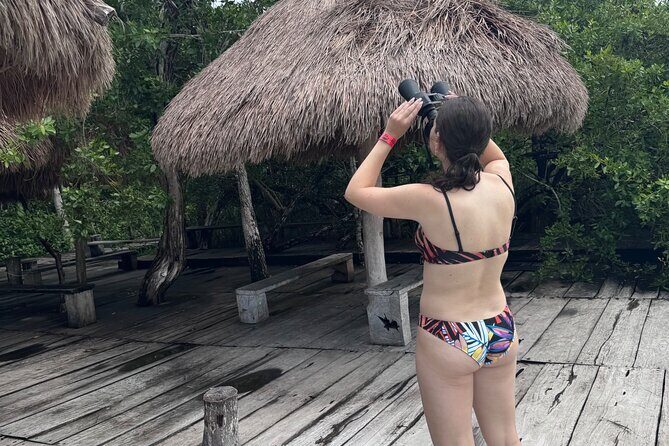 Kaan Luum Lagoon and Cenote Adventure - The guides make it: Luis (and Jorge) bring the day to life