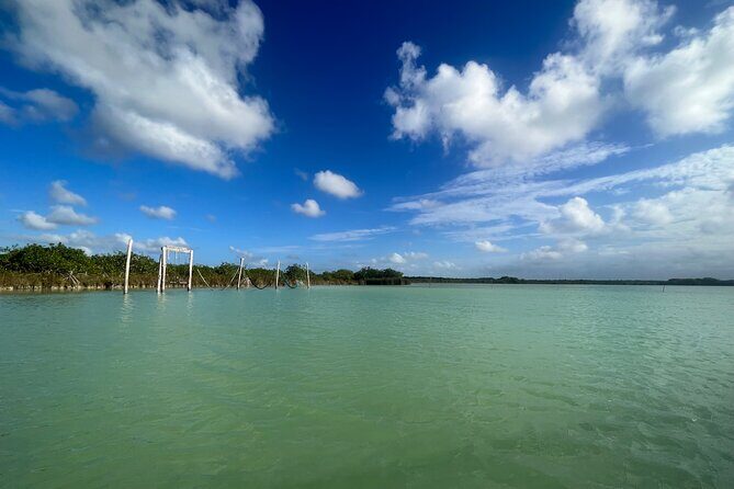 Kaan Luum Lagoon and Cenote Adventure - Stop 1: Laguna Kaan Luum swimming and snorkeling, plus wildlife time