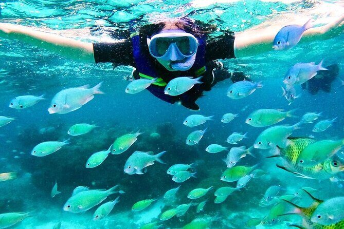 Kaan Luum Lagoon and Cenote Snorkel Tour in Tulum - Price check: $79 is good, but add 765 MXN for conservation