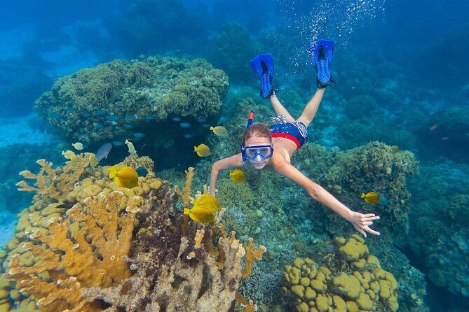 Kaan Luum Lagoon and Cenote Snorkel Tour in Tulum - Kaan Luum Lagoon: calm swimming after the reef