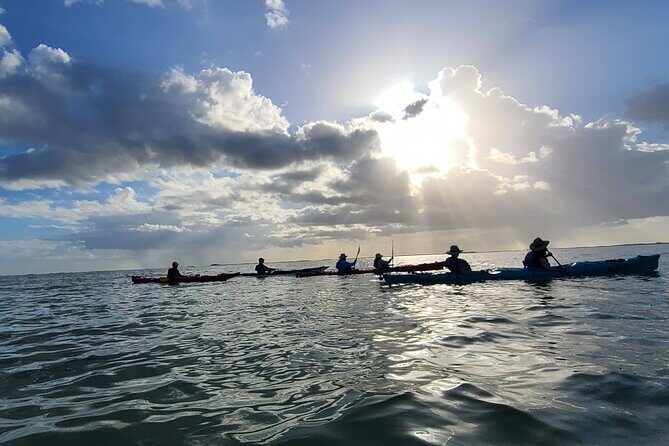 Kayak Sian Ka’an Experience - The guide factor: what makes the wildlife part click