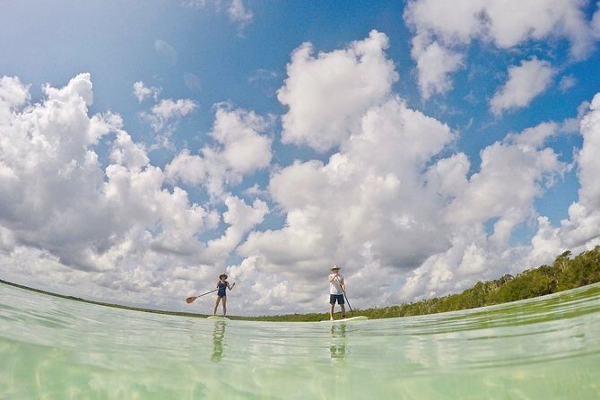 Lagoon Paddleboarding Tour in Tulum - Gear, hygiene, and the small rule about sunscreen