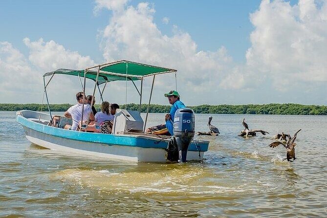 Las Coloradas & Rio Lagartos Biosphere! Transportation from Playa Del Carmen - Food and Water: Lunch, Box Lunch, and the Seafood Angle