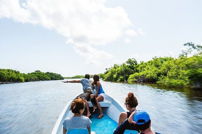 Las Coloradas & Rio Lagartos Biosphere! Transportation from Playa Del Carmen - Who This Tour Fits Best