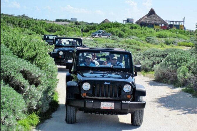 Last Minute Tour : Cozumel to Your Rhythm by Private Buggy - San Martin, El Mirador, and Chen Rio: Beaches Built for Photos and Hang Time
