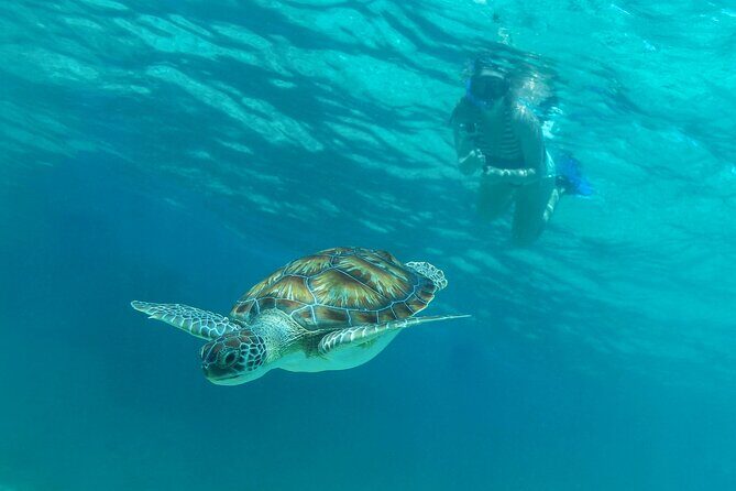 Luxury Sailing & Snorkeling Experience from Riviera Maya - Getting to Puerta Aventuras without losing your whole day