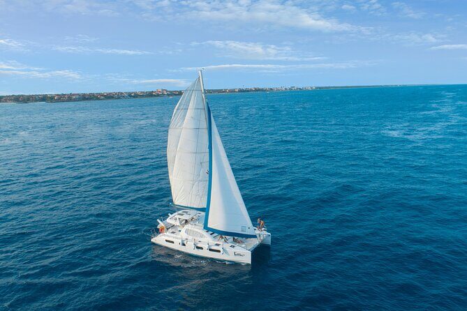 Luxury Sailing & Snorkeling Experience from Riviera Maya - Wildlife chances: how to spot turtles and rays with less stress