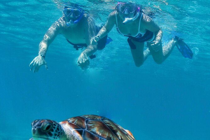 Luxury Sailing & Snorkeling Experience from Riviera Maya - The morning setup onboard: gear, group flow, and what you should do first
