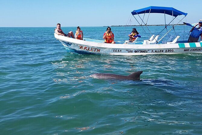 Magic Sian ka'an Deluxe two boats - The 15-Minute Punta Allen Village Walk and Ecosystem Education