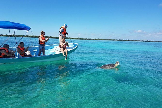 Magic Sian ka'an Deluxe two boats - Dolphins, Turtles, and Reef Snorkeling on the Second Boat