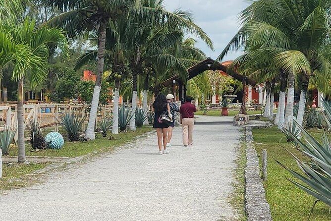 Mayan Adventure by Buggy : Explore Ruins & Culture Park - Logistics That Matter: Meeting Point, Timing, Tickets, and Group Size