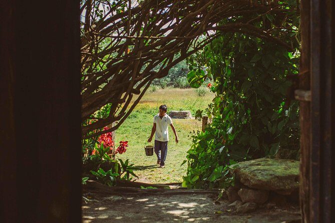 Mayan Backroads Private Bike Tour from Tulum - Laguna Chabela and the Mayan homestead lunch: why this is the cultural heart