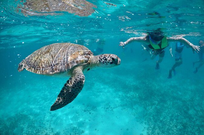 Mayan snorkeling (Akumal-Cenote-Caverna) - After the water: lunch at the eco park (and why it matters)