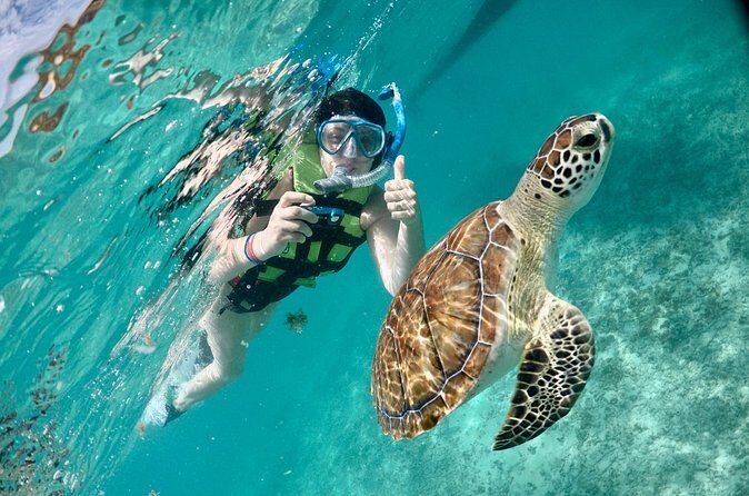 Mayan snorkeling (Akumal-Cenote-Caverna) - Transport and timing: what a 5-hour day really feels like