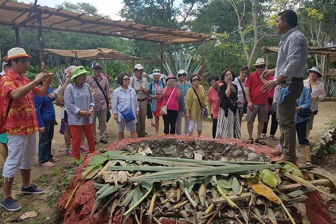 Mayan Village and Tequila Tour - What’s Included at the Village: Honey, Chocolate, Gum, and Tortillas