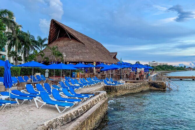 Money Bar All Inclusive Experience with Transportation - The 9:00 AM to 5:00 PM schedule: how to pace your day