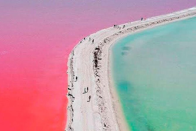 Natural Pink Lake Tour Las Coloradas only from Playa del Carmen - Pink Lake and Wildlife: What This 12-Hour Day Trip Really Feels Like