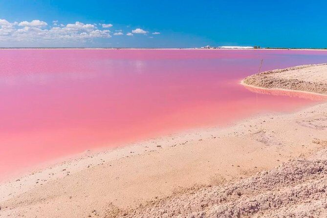 Natural Pink Lake Tour Las Coloradas only from Playa del Carmen - Price and Logistics: Is $137 Good Value for This Trade-Off?