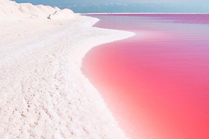 Natural Pink Lake Tour Las Coloradas only from Playa del Carmen - Rio Lagartos Biosphere Reserve: Where the Wildlife Time Actually Counts