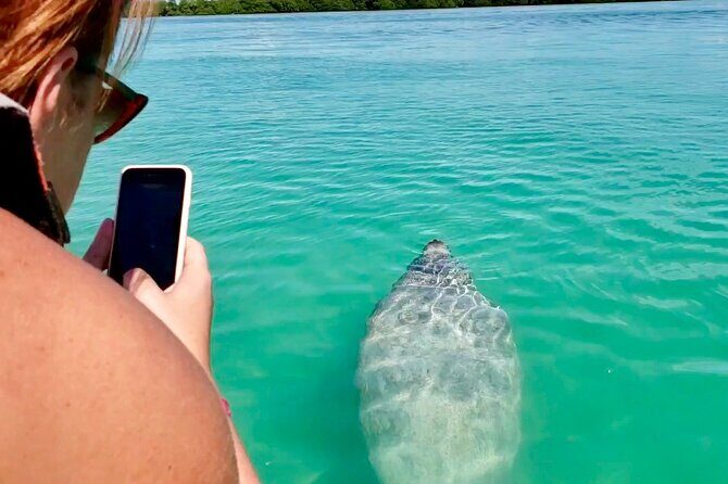 Nature Day, Sian Kaan Biosphere Tour! Round Transportation from Tulum City - Snorkel and sea life: plan for color, but accept variable clarity