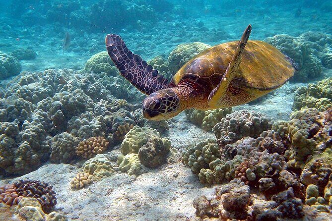 Nature Day, Sian Kaan Biosphere Tour! Round Transportation from Tulum City - Price and value: is $201 worth it for Sian Ka’an?