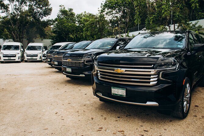 One Way Private Transfer Playa del Carmen - Cancun Int Airport - Key highlights before you book