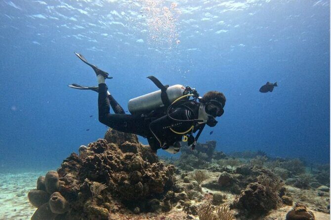 Open Water Diver Course - Learning Independence Underwater: What This Certification Really Gives You