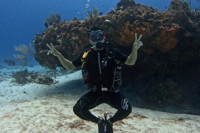 Open Water Diver Course - Price and Logistics: Where You Start in Cozumel and How the Timing Works