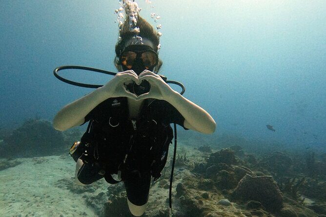 Open Water Diver Course - Day 3 by Boat: Two Reef Sessions and the 18-Meter Goal