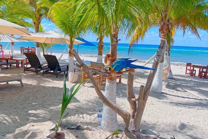 Otoch Mayan Experience Tour: Cultural & Historical Adventure - San Miguel de Cozumel: One Hour in Town for Souvenirs and Plaza Vibes