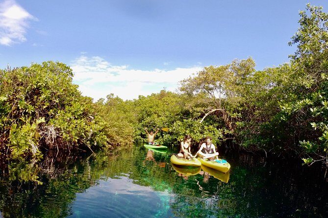 Paddleboard Cenote Tour - Casa Cenote by SUP: what you’ll really be experiencing