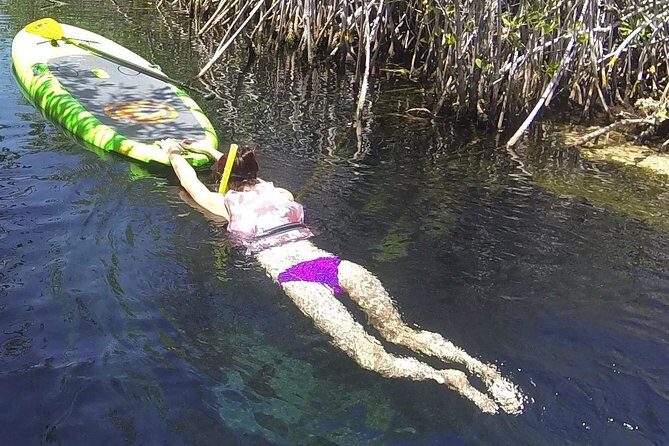 Paddleboard Cenote Tour - Snorkeling in clear cenote water: how it fits into the day