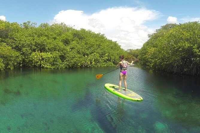 Paddleboard Cenote Tour - Pickup and meeting points in Tulum: saving energy for the water