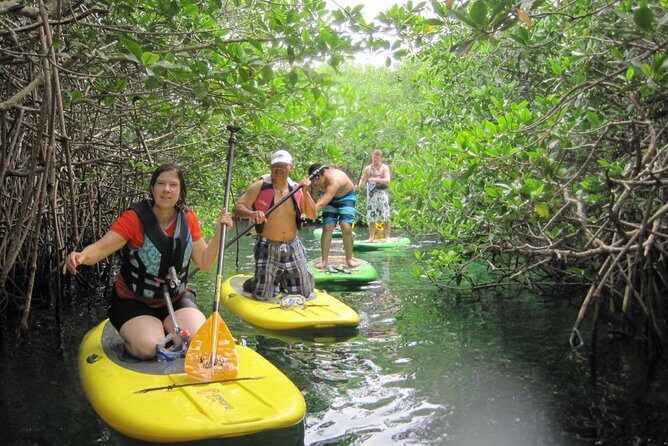 Paddleboard Cenote Tour - Who this tour suits best (and who should think twice)