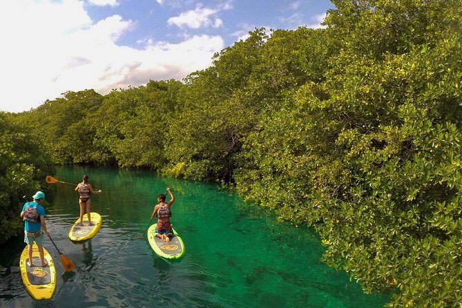 Paddleboard Cenote Tour - Beginner paddleboard lesson: why the guide is the difference-maker