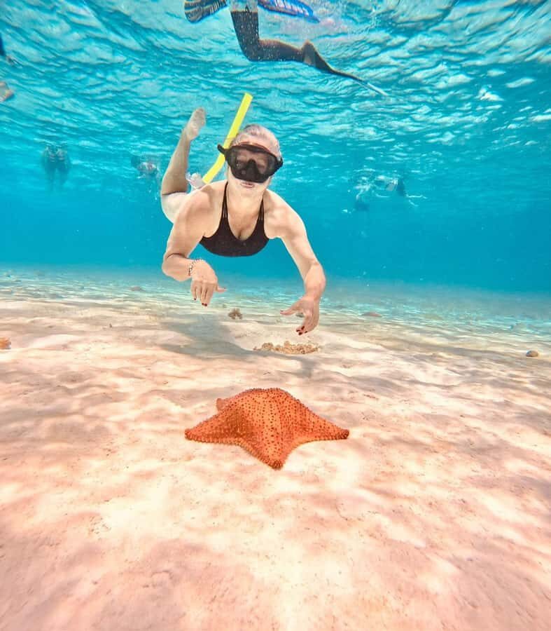 Playa del Carmen: On Board to Cozumel Tour with Lunch - Key things to know before you go