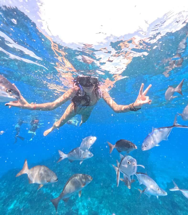 Playa del Carmen: On Board to Cozumel Tour with Lunch - The lunch stop: regional food included, drinks are on you