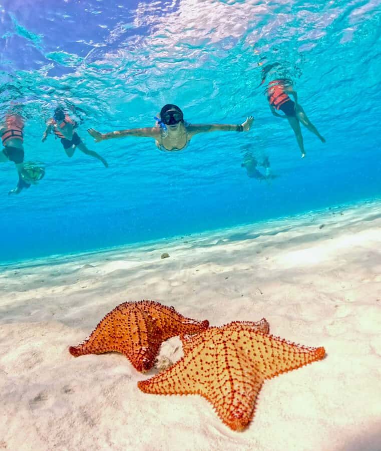 Playa del Carmen: On Board to Cozumel Tour with Lunch - Who should book this tour (and who shouldn’t)