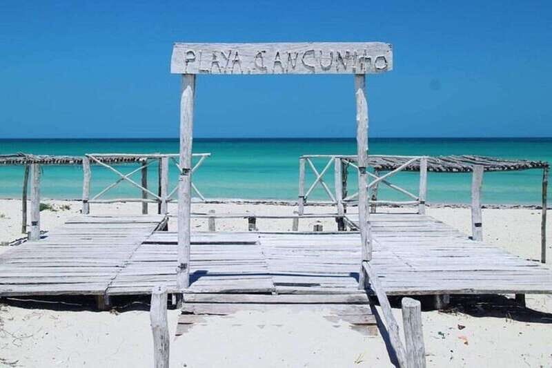 Playa del Carmen: Rio Lagartos and Las Coloradas Tour - Quick take: what you’ll remember