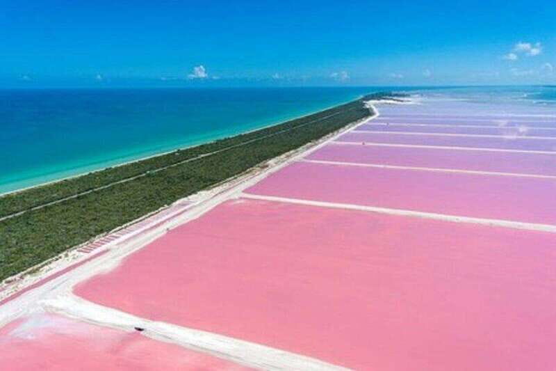 Playa del Carmen: Rio Lagartos and Las Coloradas Tour - Rio Lagartos Biosphere Reserve: the boat ride is the main event