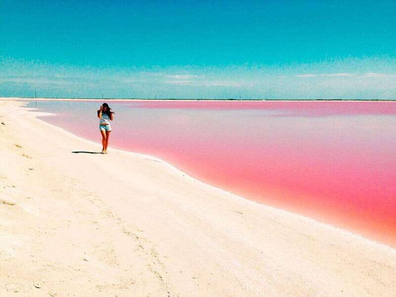 Playa del Carmen: Rio Lagartos and Las Coloradas Tour - Spotting animals responsibly: what to look for on the water