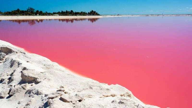 Playa del Carmen: Rio Lagartos and Las Coloradas Tour - Getting to Las Coloradas and Rio Lagartos: transport is part of your experience
