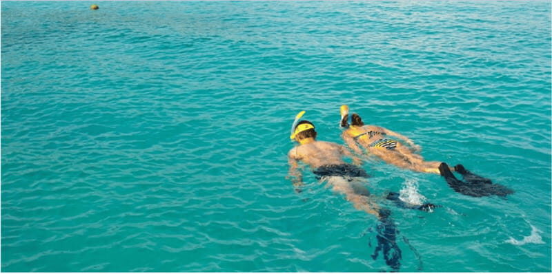 Playa del Carmen: Snorkel Tour at Local Reef - Key things that make this snorkeling tour click