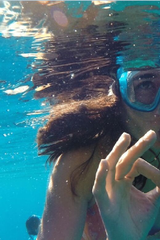 Playa del Carmen: Snorkel Tour at Local Reef - Boat return and debrief: what you’ll do after the water