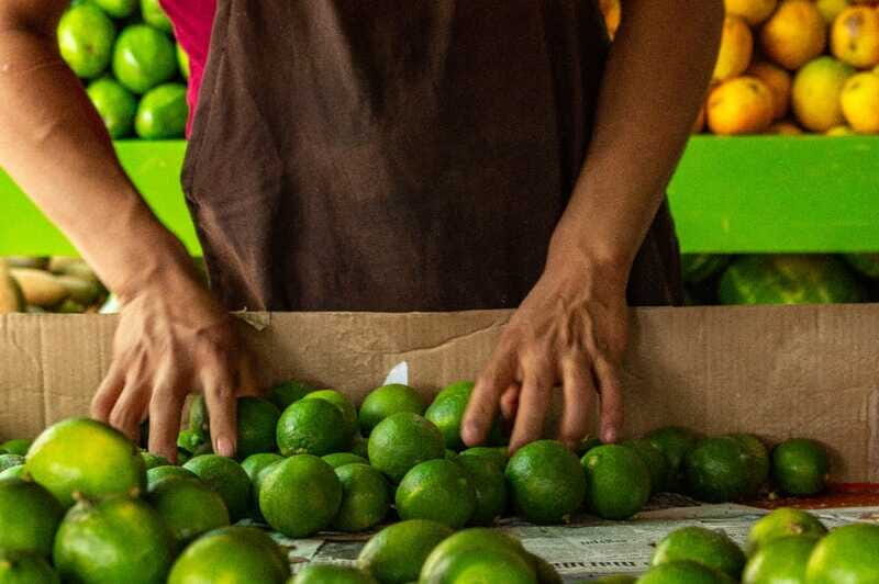 Playa del Carmen: Vegan Food Walking Tour - Is it worth it if you have mobility limits or health concerns?