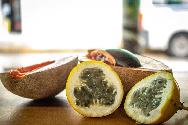 Playa del Carmen: Vegan Food Walking Tour - Fruit market flavors: where the tour’s “why” starts