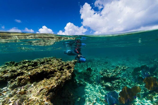 Power Snorkel By Sea Scooters & Tequila Tasting - Power snorkel first: the part you’ll remember most
